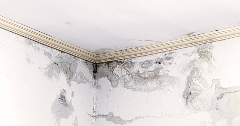 Bathroom Leakage Seepage